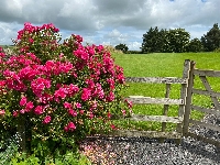 Gallery Picture: 033a4e46-fe0c-461f-872c-e5bcfdda4529