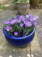 Gallery Picture: 249133c1-2678-4295-96d2-20d9a6a755ef