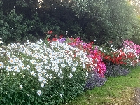 Gallery Picture: f08dcf0e-a64c-48ce-b15a-0feec9b7be3f