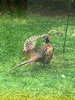 Gallery Picture: 5ca134f5-2d1f-4546-a96d-e61aad2daf3f