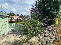 Gallery Picture: 6f4167ce-1445-429d-b2cc-649a7cc50396