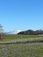 Gallery Picture: 73cae389-6fe1-4ad4-be69-8bab80621c6e