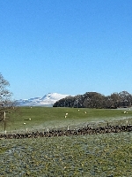 Gallery Picture: 8b52867f-532f-4410-a611-a8bc3958aca7