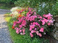 Gallery Picture: 91b37205-4bc0-4bb1-a907-e17e0b690645