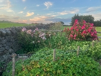 Gallery Picture: b150a7d9-929e-4d52-91c0-88e07262eff4