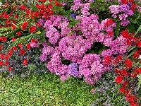 Gallery Picture: b7edac4c-110b-4848-ac5f-a93d0d1d095d